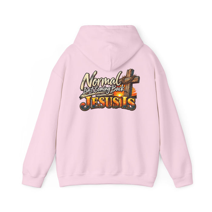 Unisex Heavy Blend™ Hooded Sweatshirt